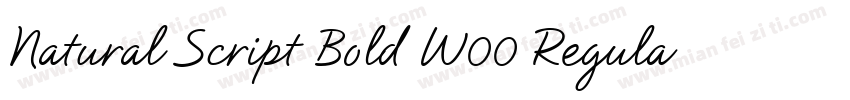 Natural Script Bold W00 Regular字体转换